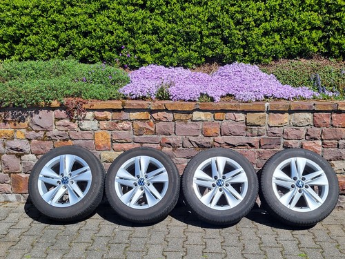 Zoll original golf 8 - 16,