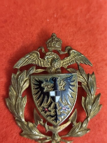 Vergoldete brosche - (1140),
