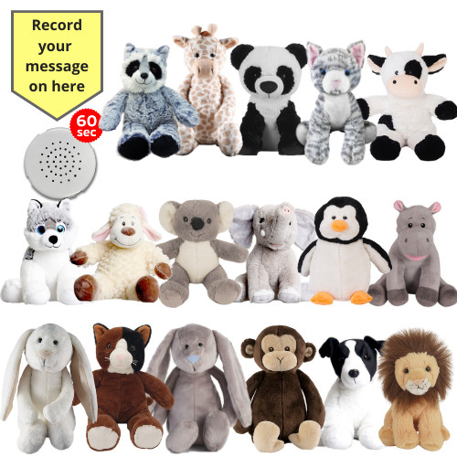 Baby herzschlag teddy - teddy, tier