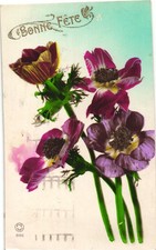 AK Blumen Anemonen, Künstler, Kleinformat