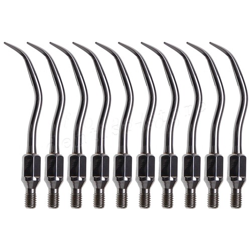 10pcs zeg dental spitzen - zeg,