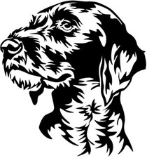 DEUTSCH DRAHTHAAR Aufkleber - Autoaufkleber -sticker- Deutsch Drahthaar Kopf #35