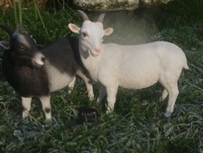 Ziege Deko Figur S Gartenfigur