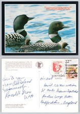 c39668 Loons Enten Vögel Minnesota USA Postkarte 1988 Briefmarke