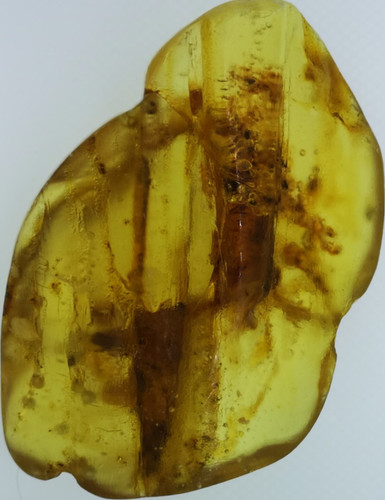 Bernstein gelb transparent mit