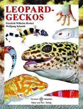 Leopardgeckos