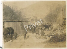 Foto WK I Kaiserliche Armee 3