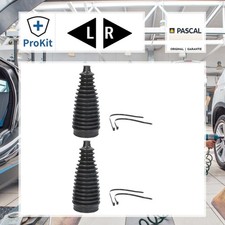 2x ORIGINAL® Pascal