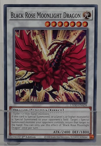 Black rose moonlight dragon - black,