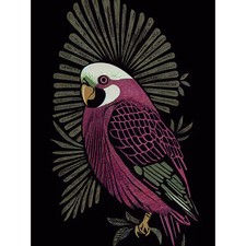 Tropischer Vogel Dschungel