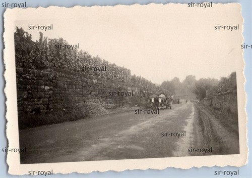 Polen feldzug 1939 xvi - polen,