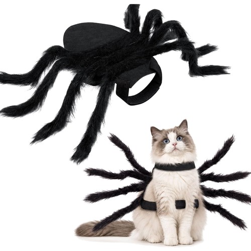 Halloween hund kostüm spinne - halloween,