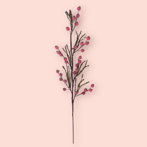 Katherine collection beeren - collection,