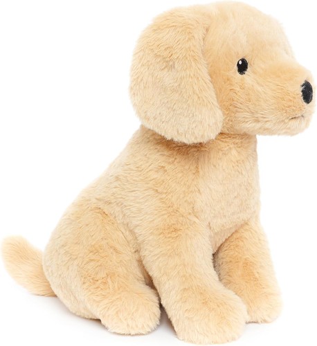 Weigedu golden retriever hund - golden,