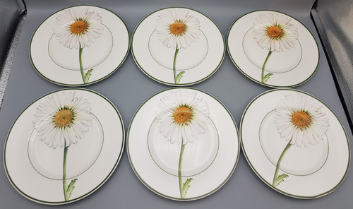 Villeroy boch flora - &,