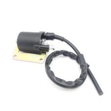 6 Volt Zündspule für Piaggio