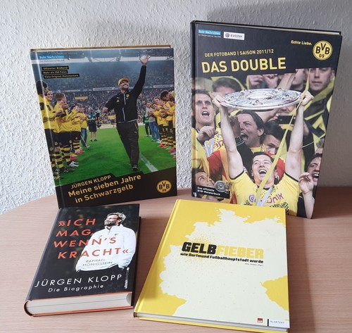 Bvb borussia dortmund - bvb,