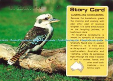 D191238 Australischer