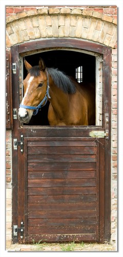 Türposter türtapete 93x205cm - türtapete,