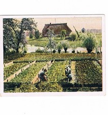 Auf Deutscher Scholle Nr. 121