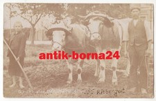 AK Gruss aus Sommerfeld