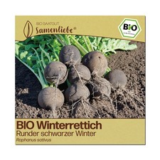 BIO Rettich Samen Sorte Runder