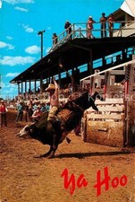 Cheyenne Wyoming Bull Riding