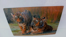ANSICHTSKARTE 3 D  TIGER KATZE