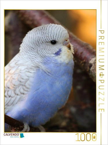 Calvendo puzzle himmelblaues - calvendo,