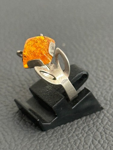 Fischland ring mit bernstein - mit,