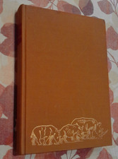 Abenteuer mit Daktari ++