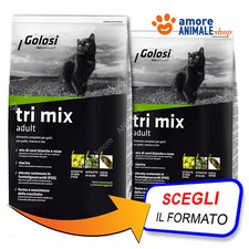 Naschkatze cat adult - adult, →