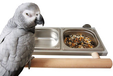 Papageien, Vögel,Futternapf