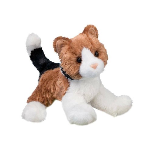 Schildpatt calico katze - ,