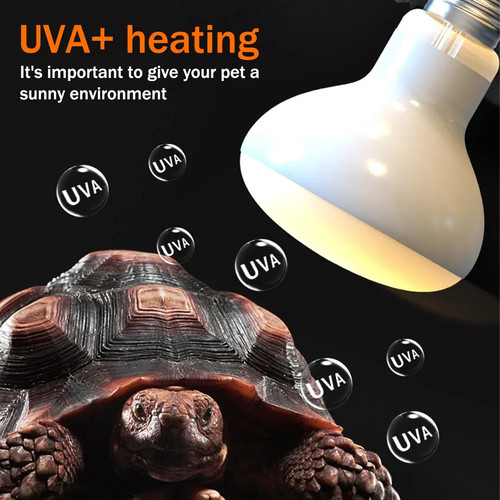 Reptile heizlampe uva - reptile,