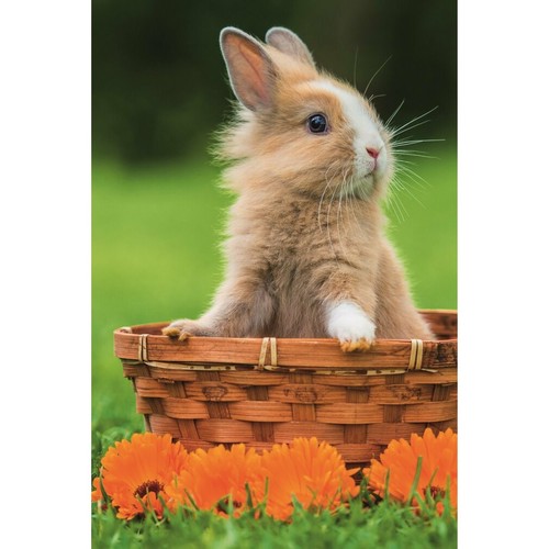 Trefl puzzle niedliche - trefl, tiere