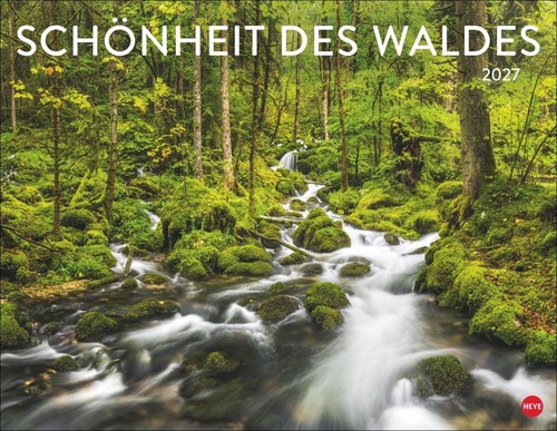 Schönheit des waldes - schönheit,