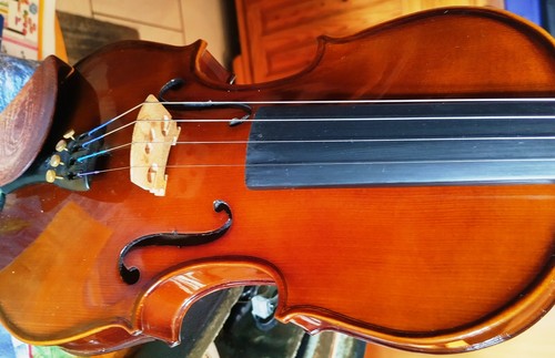 Geige violine the stentor - geige/violine,