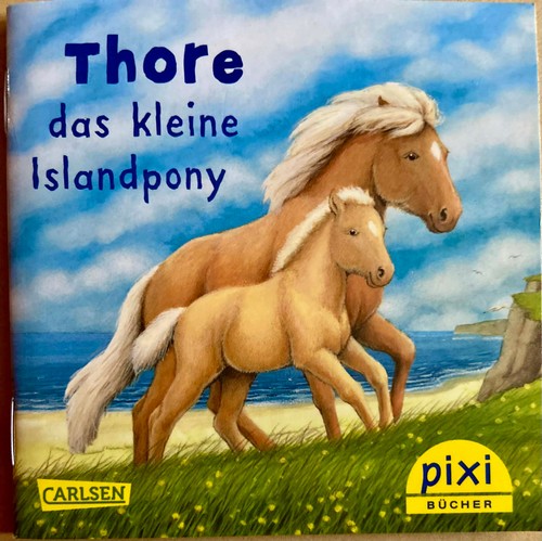 Pixi buch thore das kleine - -,