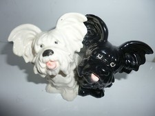  Black & White Scotchterrier