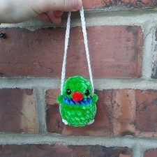 London Sittich auf Schaukel