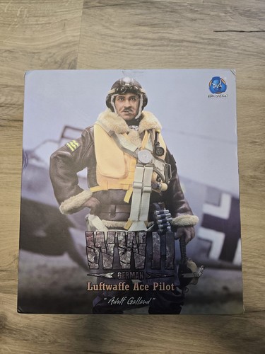 Ww2 did luftwaffe pilot - ww2,