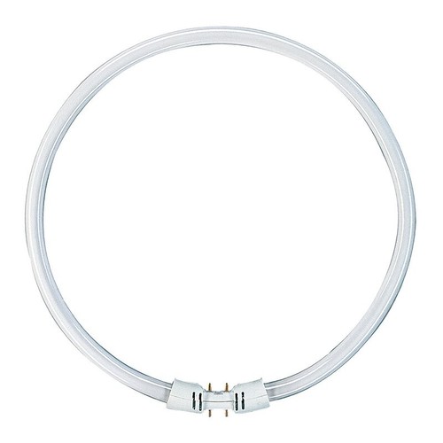 Ringröhre watt 830 t5 - ringröhre,