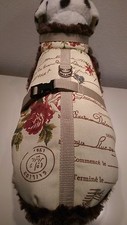 Wintermantel hunde mantel - wintermantel, hunde-mantel