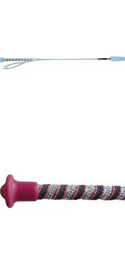Peitsche gerte whip - gerte, whip&go
