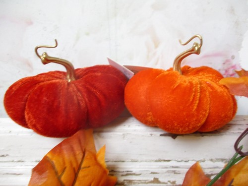 Kürbis samt orange - kürbis,