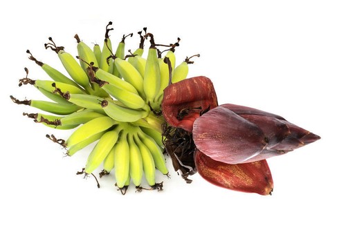 Samen yunna bananen palmen - yunna-bananen,