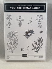 YOU ARE REMARKABLE Stamp Set