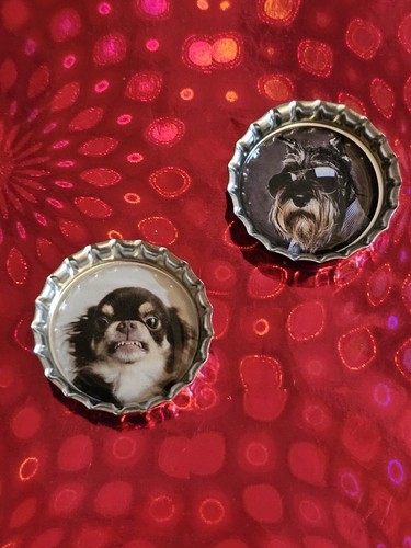 Hunde magnete kronkorken - magnete,