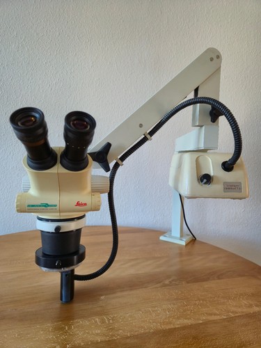 Stereomikroskop leica - stereomikroskop,